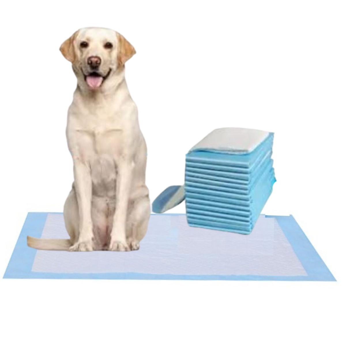 6-Layer Multiple uses Blue Pee Pads, Disposable Pet Training Pads